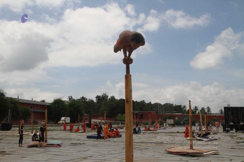 File:20171003 Photo 134 1umJher86sEpIwM0o5-X E gtVZCftPkb.jpg