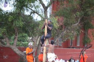 20171003 Photo 1353 1lg43CKGvWoxEUp8-sCRa61TBDMadQ1J5.JPG