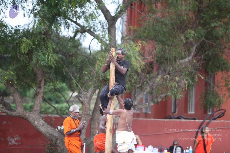 File:20171003 Photo 1353 1lg43CKGvWoxEUp8-sCRa61TBDMadQ1J5.JPG