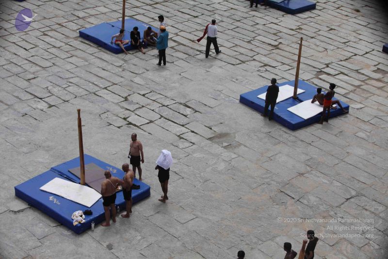 File:20171003 Photo 1369 1ueJUCJvSNzk34K684ptOmKgcR8wBurc9.JPG