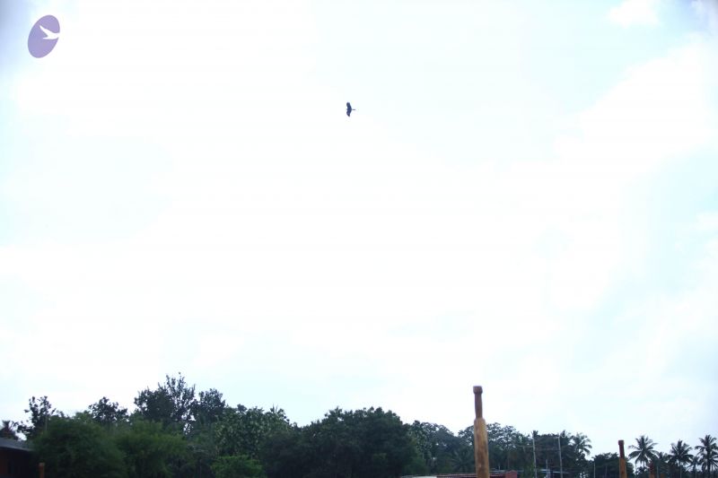 File:20171003 Photo 1469 1LpfJGi1sJHKuEV6phe9Ix7P6R7j-J26A.JPG