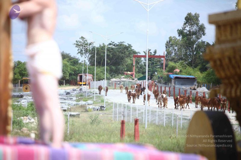 File:20171003 Photo 1477 1dh4UWkEFCLK-jQevB08bgrb5ecqz-wW5.JPG