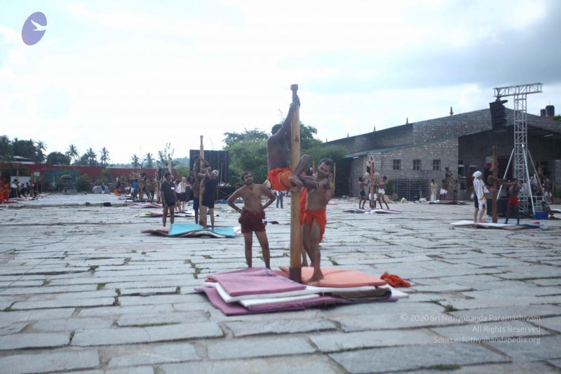 File:20171003 Photo 1712 1O3sS64jeTjOsthPFCiLI6 Izr6QUTunH.JPG