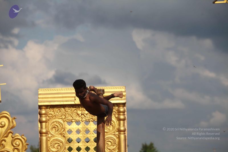 File:20171003 Photo 1803 1StO2 w5QVAi-sX7goKWxE4kmP-u3YsX .JPG