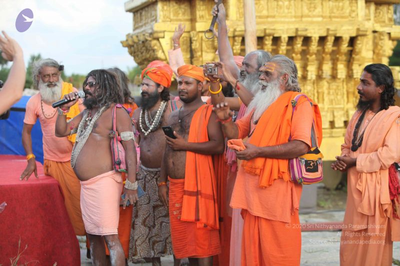 File:20171003 Photo 1883 1SPdr-EgLVx5JLzSwFUaKht26Fc66vQG8.JPG