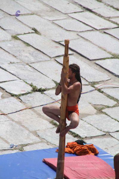 File:20171003 Photo 237 11mvF6Yuk g9lHPg0tOI9JLnpPmy6fhDs.jpg