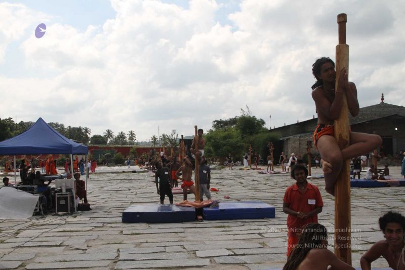 File:20171003 Photo 253 1N65dpVs9EbQceqwgFlcmviZj41b4FzUH.jpg