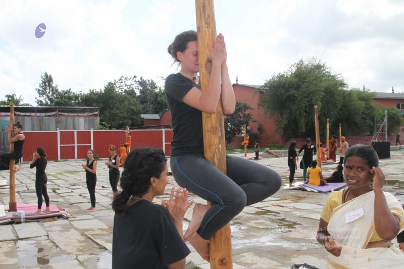 File:20171003 Photo 264 1so0KIWESw-8foF9shn0MAdC9Loxifw d.jpg