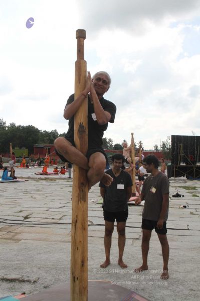 File:20171003 Photo 279 1FwGXjDhh91aT1p0LVNbWUvZGK3skKXh9.jpg