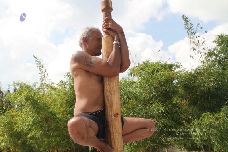 File:20171003 Photo 283 1VJKKWesxxmqV9NaI4DICRCFDPBbP8QyA.jpg