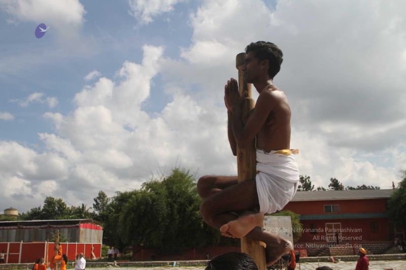 File:20171003 Photo 287 18arL0z JrdhFJ8yL17gCTp3Y3StpQIzH.jpg