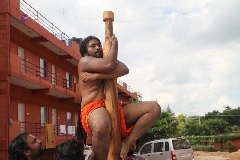 File:20171003 Photo 306 1HqOym0SSb- RrGp7U5QNPomme1vlZc2P.jpg