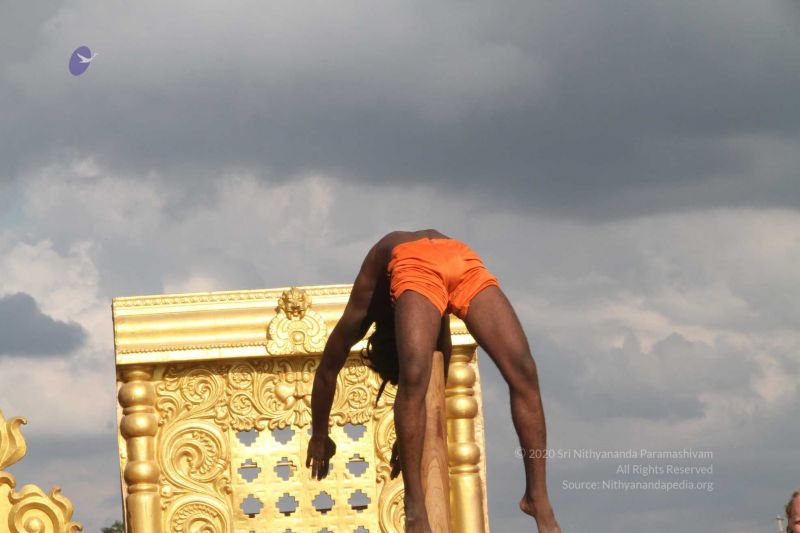 File:20171003 Photo 401 1BPWodTZ77VqLnvpDs-FXNwT9tH3GOLId.jpg