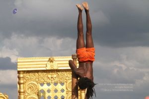 20171003 Photo 403 1KOQYfHDM-QROoXby38fzgCuEIDdSfTvJ.jpg