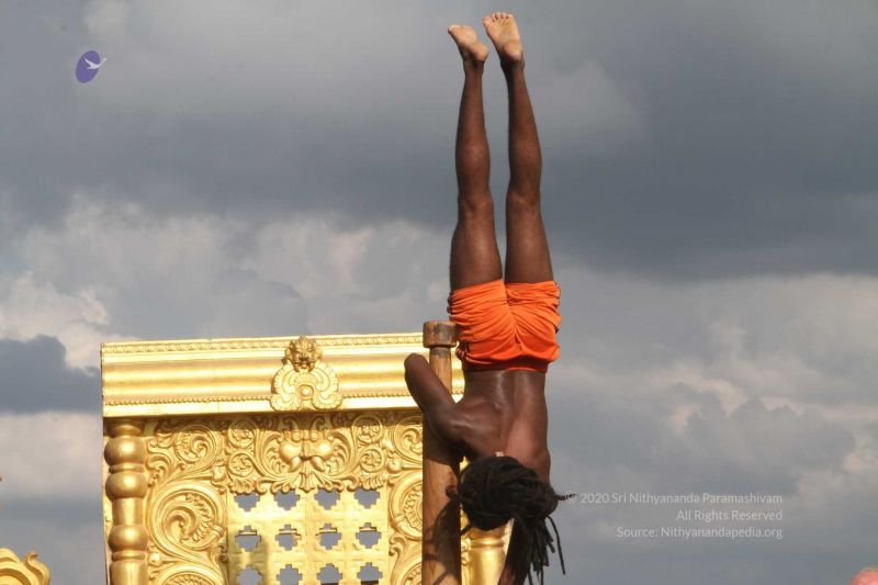 File:20171003 Photo 403 1KOQYfHDM-QROoXby38fzgCuEIDdSfTvJ.jpg