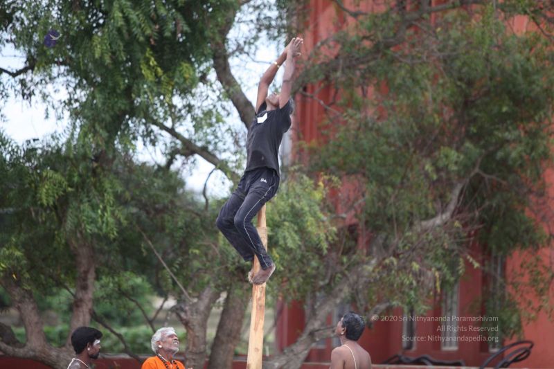 File:20171003 Photo 447 1uLtLsjBaKQg24IIk3B5NlsPeUsLh2xyD.jpg