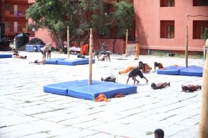 20171003 Photo 525 12iIT4srTtgFAg-oFLRNoiToJNF4ecmzu.jpg