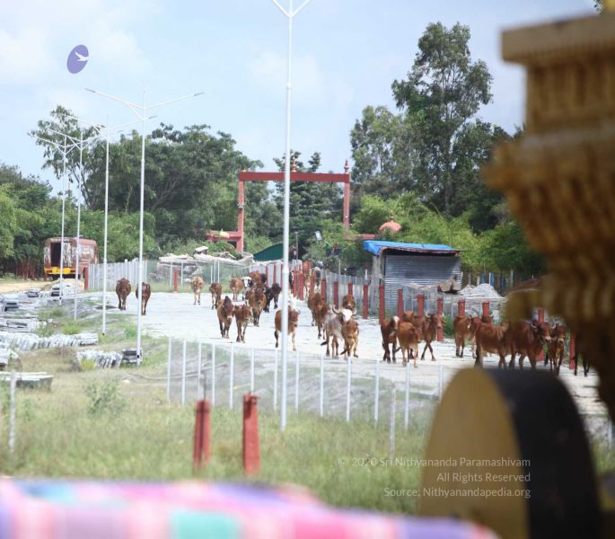 File:20171003 Photo 596 11uKnt35g0ejiVA8LtDCEv38buKOiqkoP.jpg