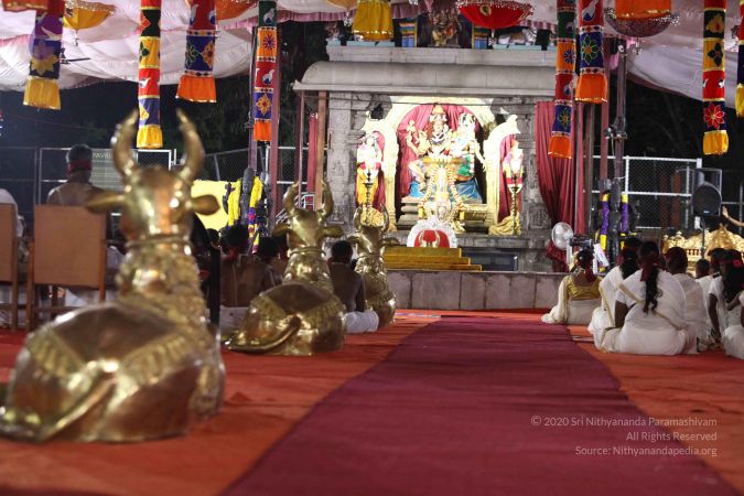 20171005 Photo 1011 1xW5RfzIN13uoEfrI0 9vMeOI8 WTo4 D.JPG