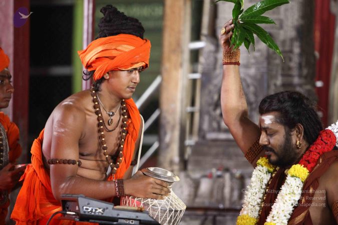 20171005 Photo 1172 1nZxX6ahPxNAcCfKv0MEMjEhjRloUQ1ld.JPG