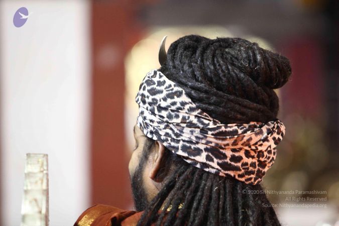 20171008 Photo 1727 1lcTP4tgDqvXt7D-HBOvNduYszkvQZsEP.JPG