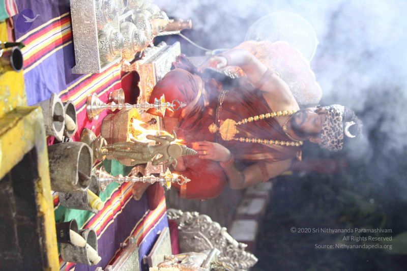 File:20171008 Photo 1934 1TMuFPTsRkk1JXSlJ0rP2IzVrVwCQNybA.JPG