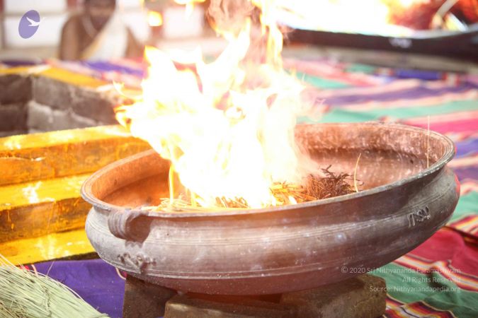 20171008 Photo 2086 1v6SFel3MTLmbzIyFtvF4qAo7WaKeSGkB.JPG