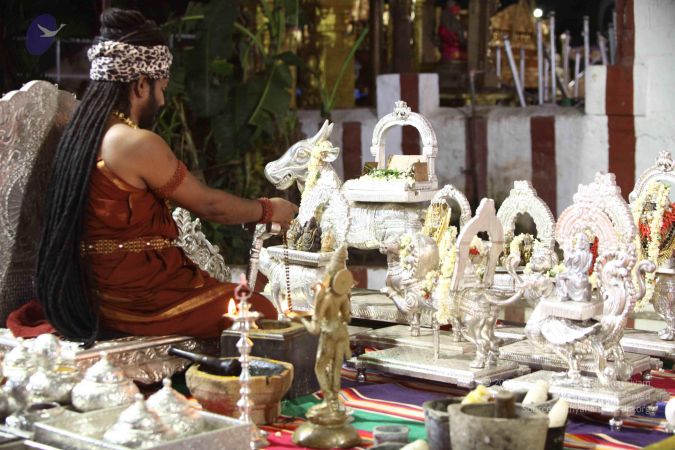 20171008 Photo 2237 1sYGs1sbRck2JURlzPdeOEc6UaO9BXs6j.JPG