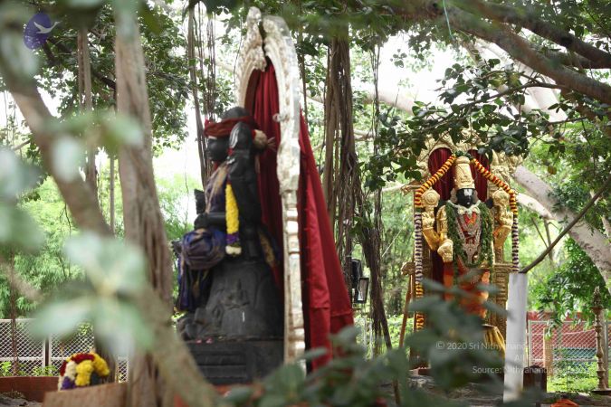 20171012 Photo 1014 15oK9sVZj Ziz5HiHmHZyj66UoqUBTkUP.JPG