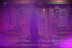 20171015 Photo 1029 1BEh0P8aqwlj2yx7T2yC0JJpMmPSbOLMC.JPG