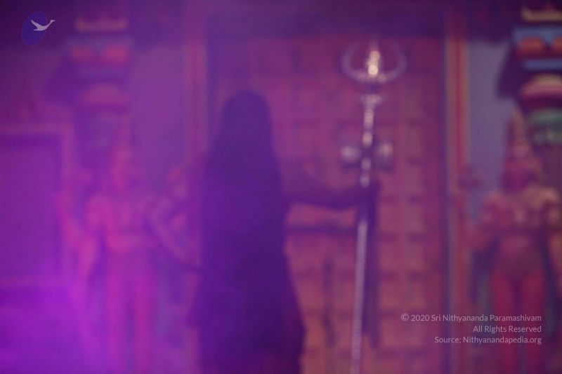 File:20171015 Photo 1031 1UYlNE5jBzd-a6mbFTRgzoMs8ioZnpX-i.JPG