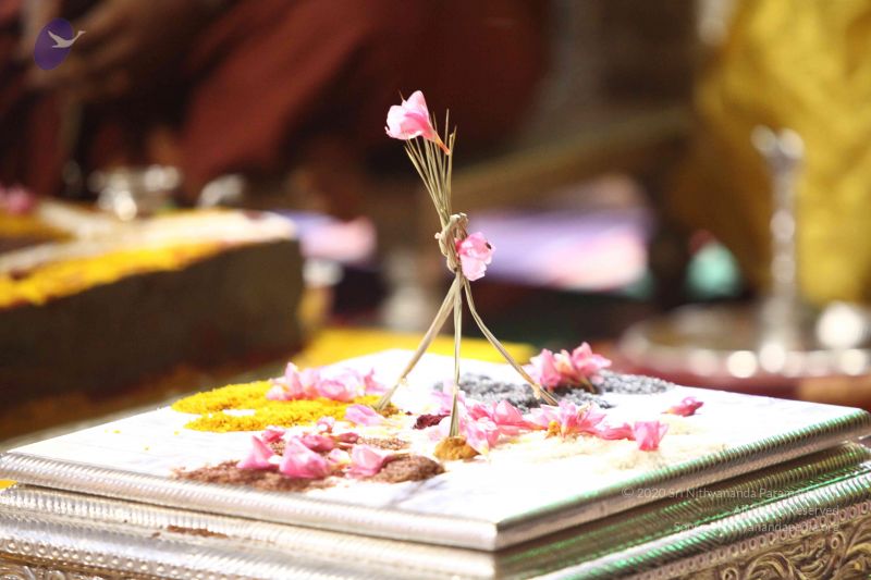 File:20171015 Photo 1822 1xb5sEHxXoUe2318X7LxY5TnGcdTc8at6.JPG