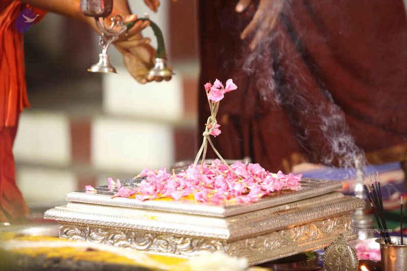 File:20171015 Photo 2016 1R8efFOdh4wO4kYbt-rEyulnW2nVJPoMx.JPG