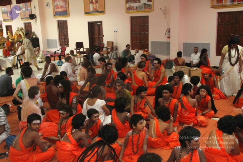 File:20171113 Photo 1007 1KOvV8cB-kblewbKtnSgnvB8UaXWU7jKS.JPG