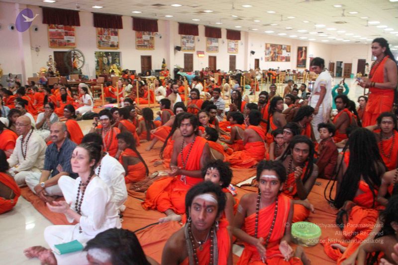 File:20171113 Photo 1053 1oc8IJcfIcVOQ7qLZrCQO2-6dI5zm5m27.JPG