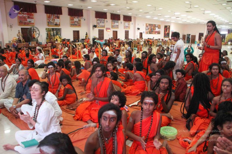 File:20171113 Photo 1054 1 nykaM2nqkNUIUcxwR9Wcy1r-1GsF6IF.JPG