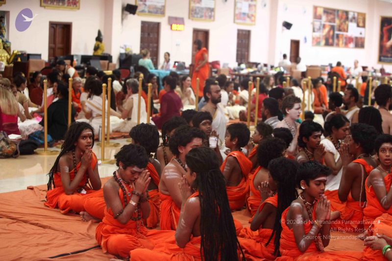 File:20171113 Photo 1579 1sRUK3Xf-z f-A2fVAg3vD3EiVMrbBRg7.JPG