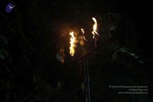 20171115 Photo 1001 15E7g-w8BbN75u5impVLr0MeC-dgWNRga.JPG