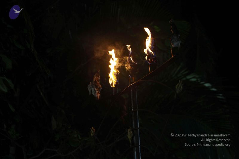 File:20171115 Photo 1001 15E7g-w8BbN75u5impVLr0MeC-dgWNRga.JPG