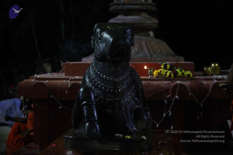 File:20171115 Photo 1002 15STtwFZsIBjbP1sdsYed691WYMGRv89b.JPG