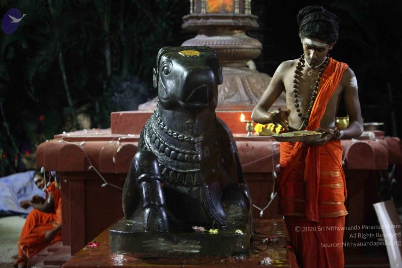 File:20171115 Photo 1004 1OnkKS5tVDBykD61V0bByOYzbyzrmuH-p.JPG