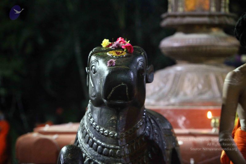 File:20171115 Photo 1007 1HEX3n IS3ctBRkUqnd-kLy5BV-oqoLbb.JPG