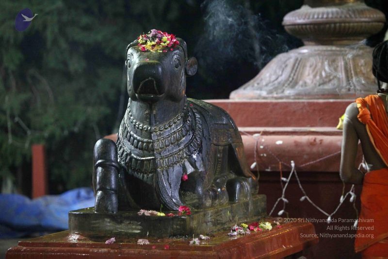 File:20171115 Photo 1009 1QTRx02H3MhDiXJDX8xcSU dM1TcLMPVM.JPG