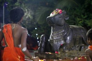 20171115 Photo 1013 1a9x4iFvuaWb-v1SZmwWY3iUP45Qu9IZr.JPG