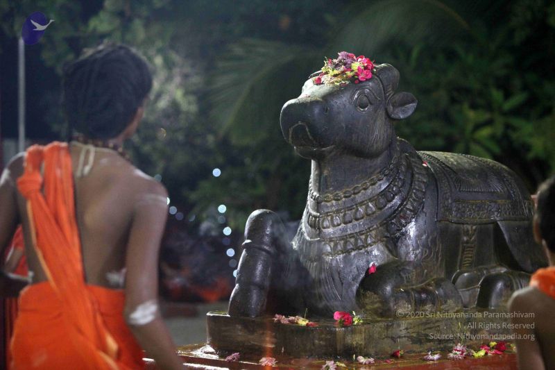 File:20171115 Photo 1014 1rPxlazKn6JNhBGfzQe-uOCkw PArYNz2.JPG