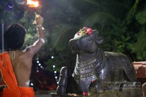 20171115 Photo 1015 1dnoH-cFoVQr8k77HEG4QdDmdnQqNn2Sg.JPG