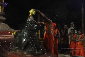 20171115 Photo 1231 1Nhgr6DzPm9vrBVgzrimKFLwbFgpWge q.JPG