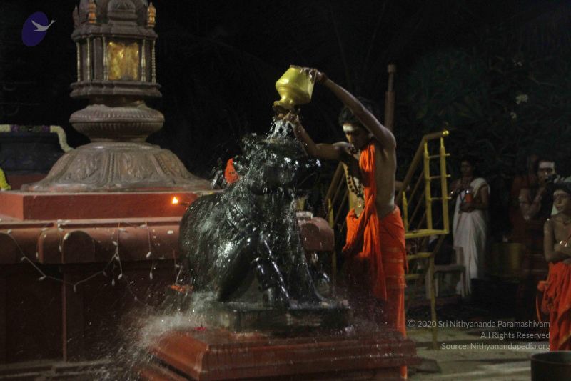 File:20171115 Photo 1232 1o0eaQUISuwSroq2tV6QG6qf5wy8heY8J.JPG