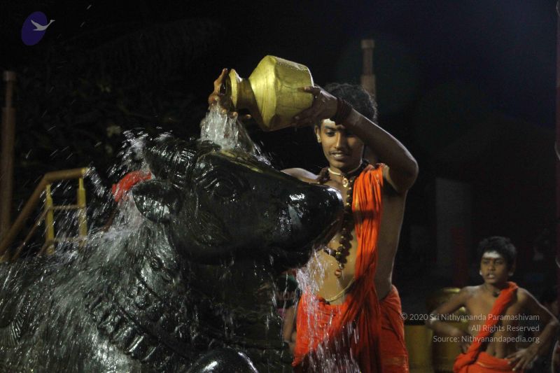 File:20171115 Photo 1235 1QB1 YAmfRr324re9kRSMk55YPd0yvcgg.JPG