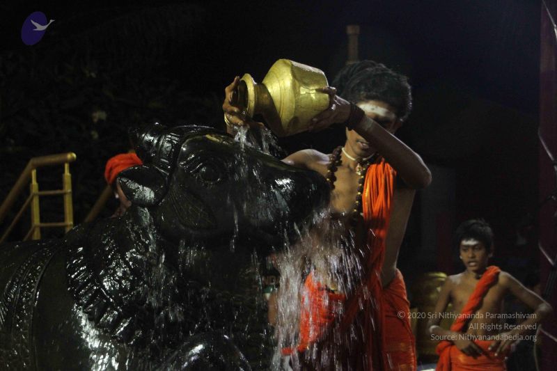 File:20171115 Photo 1236 1U9OZ3bBd2vgLjPQJ87PWzKOQ3OP4zJgT.JPG